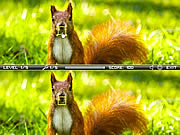 Squirrel difference online